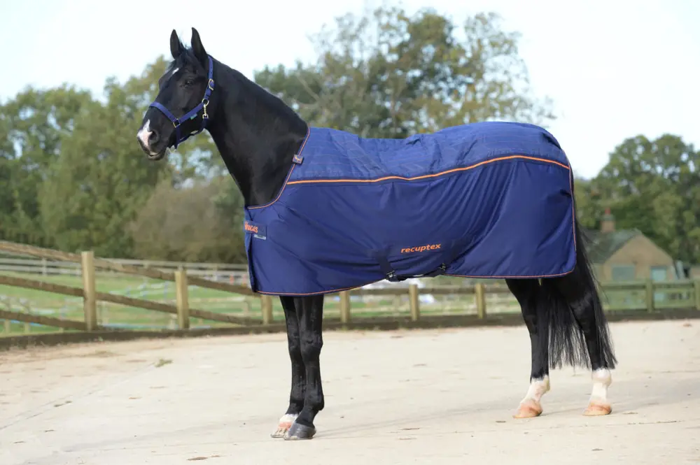 Preisknaller Bucas Therapy Cooler navy/orange, 145 cm