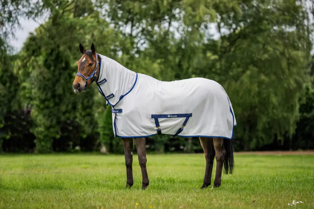 Bucas Freedom Fly Sheet Full Neck silber, 120 cm Wochenendangebot