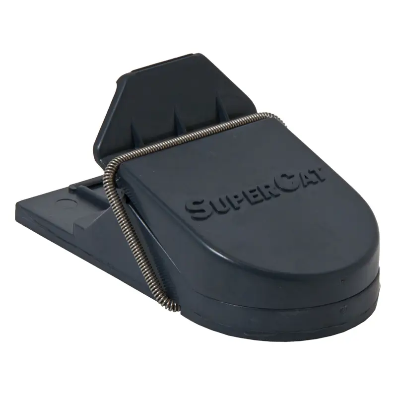 Preiswert Swissinno Mausefalle Super Cat - 2er Pack
