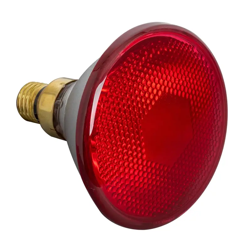 Super-Preis Infrarot-Sparlampe PAR 38, 100 Watt - Infrarot Energiesparlampe, Infrarot Sparbirne, rot