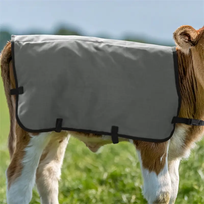 Kälberdecke 80cm, grau - Thermodecke für junge Kälber als Kälteschutz Schneller Versand