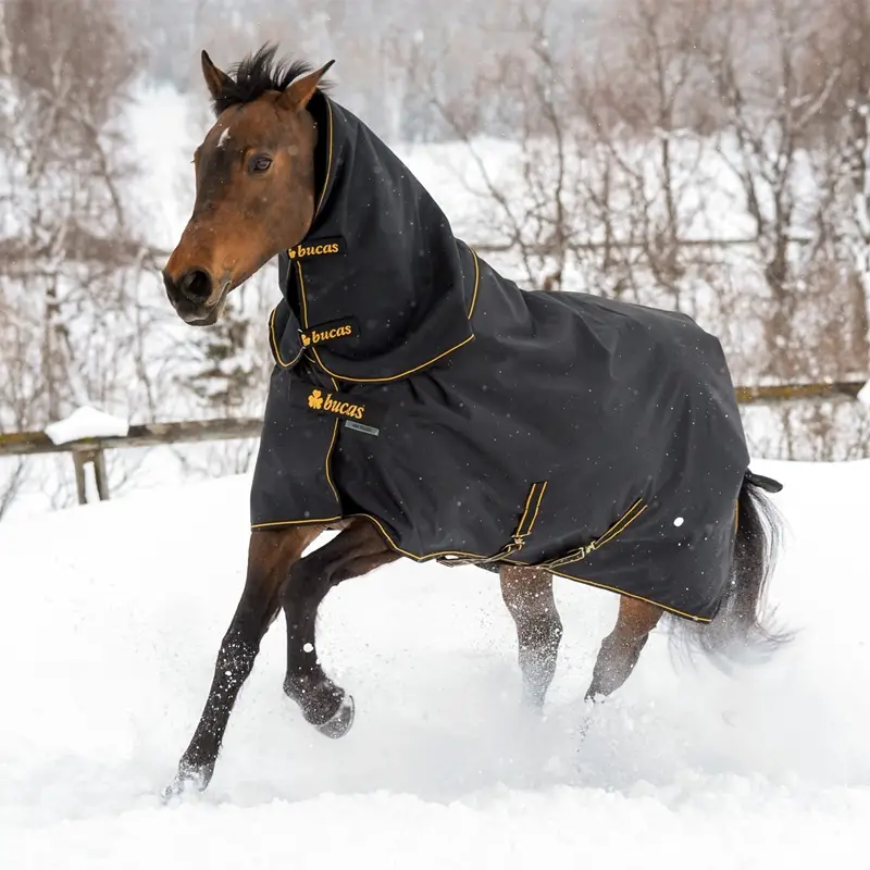 Top-Angebot Bucas Irish Turnout mit Halsteil 50g, 145cm, Regendecke für Pferde