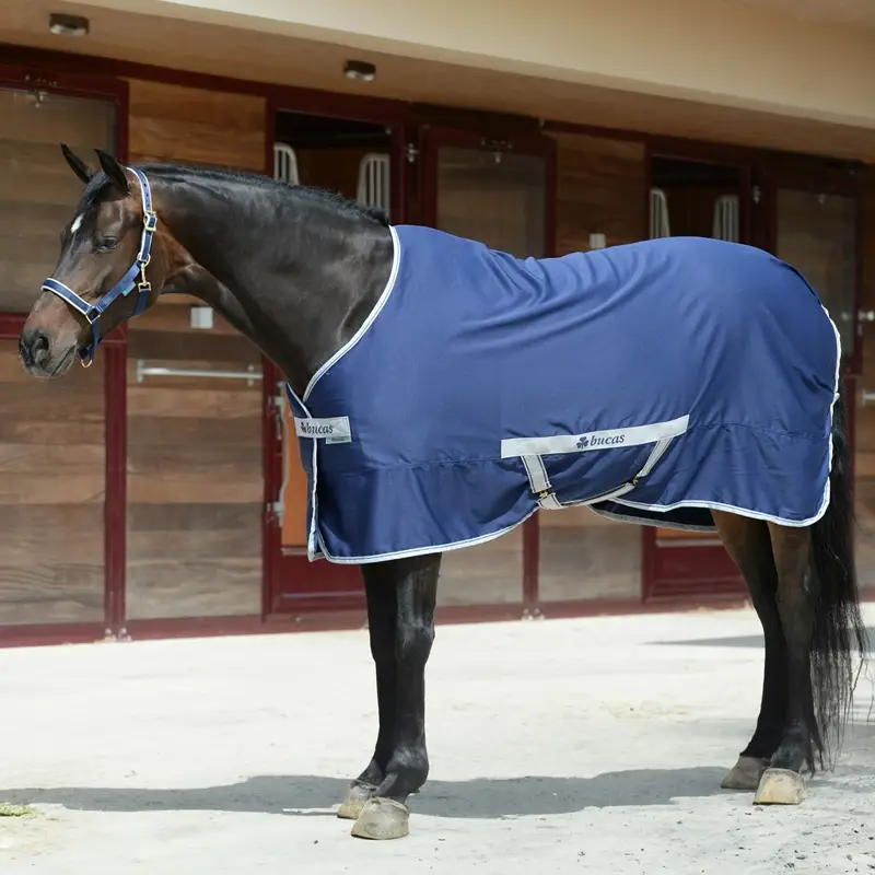 Knallerangebot Bucas Freedom Twill Sheet 0g, 165cm, Sommerdecke für Pferde, Stalldecke