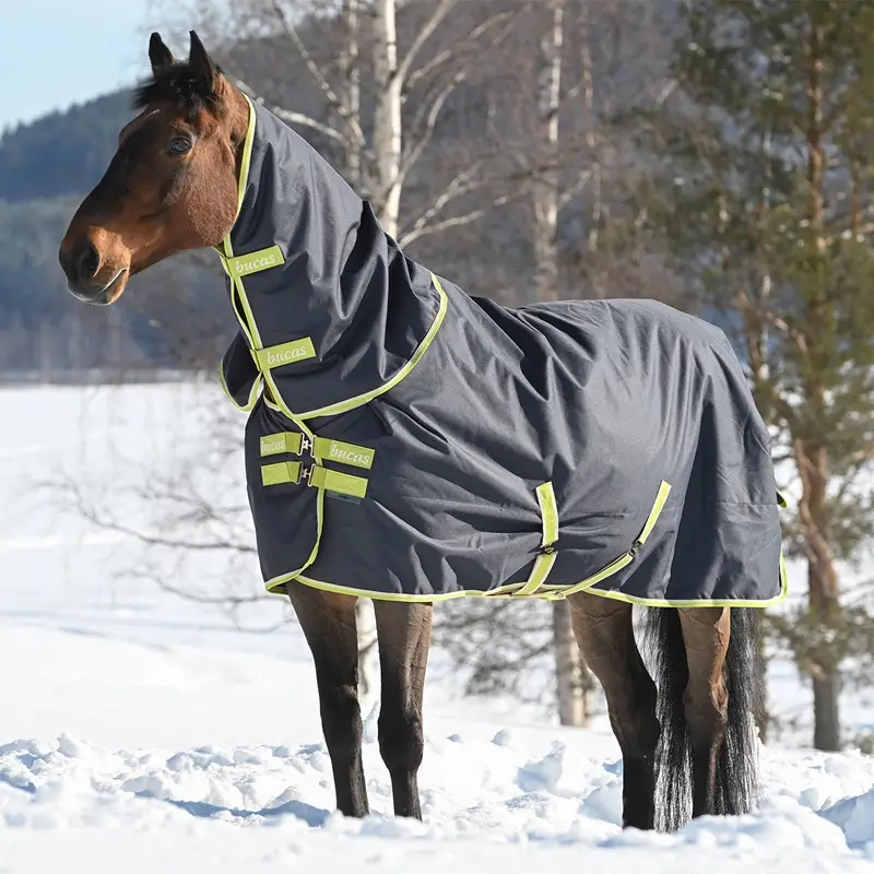 Beliebt Bucas Oasis Turnout, 200g, 165cm, Winterdecke mit Halsteil, Outdoordecke