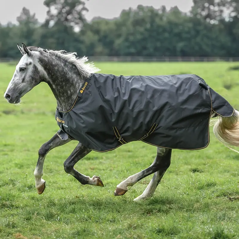 Top-Seller Bucas Irish Turnout 50g, 140cm, Regendecke für Pferde