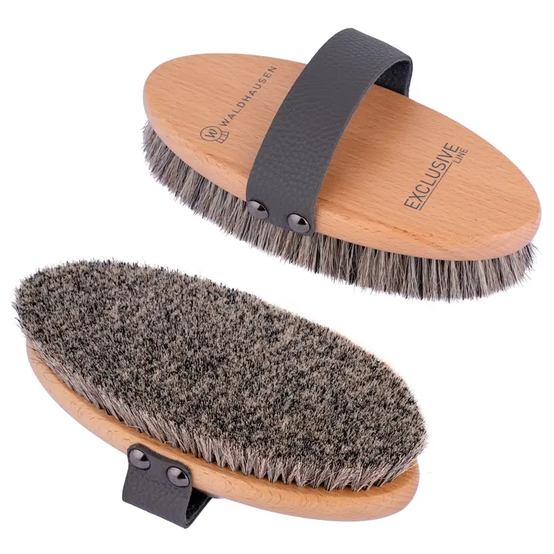 Waldhausen Exclusive Line Kardätsche Saisonangebot