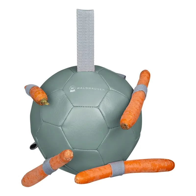 Neu Im Sortiment Waldhausen Karottenball Ø18cm, Pferdespielzeug, mistel