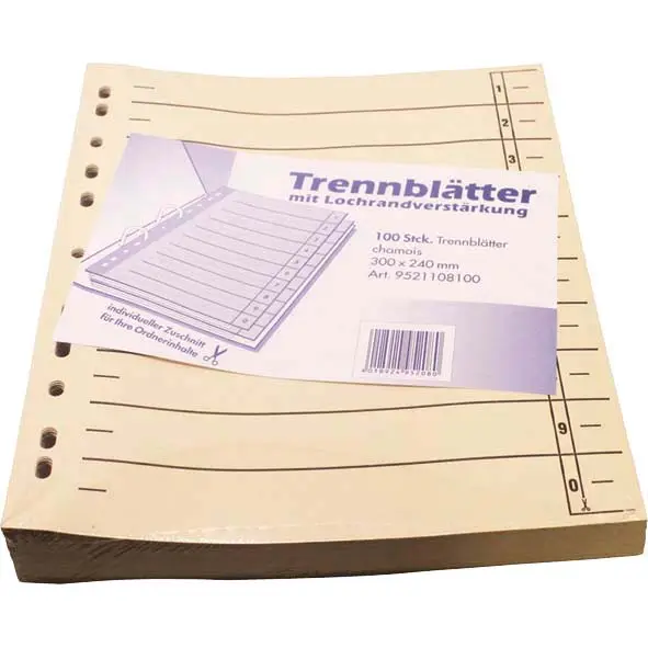 Trennblatt A4 (100 Stk) Sonderaktion