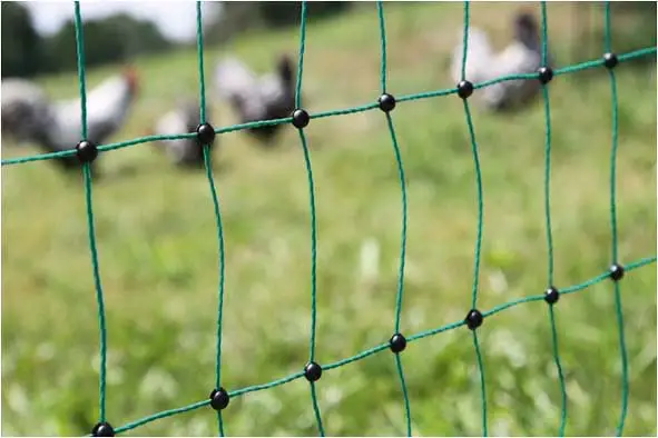Günstig Geflügelnetz grün 106 cm 50 m Einzelspitze o. el.