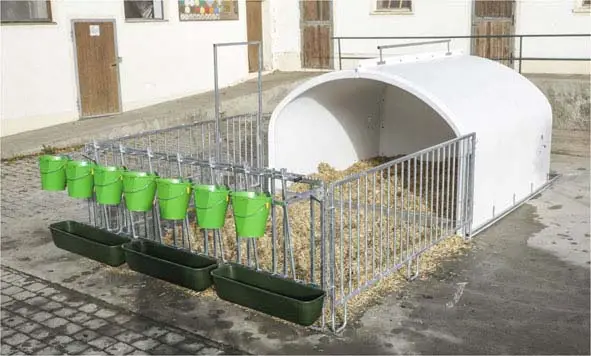 Calf-House Premium XXL mit Zaun Nur Heute