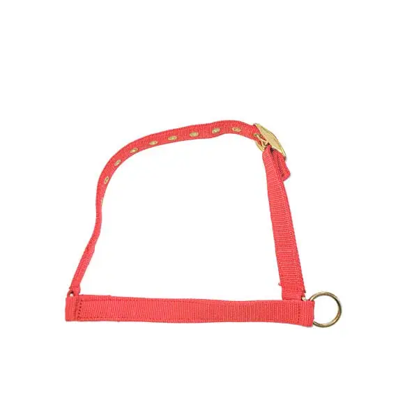 Heißes Angebot Kopfhalfter f. Schaf u. Bock Nylon Kinngurt rot