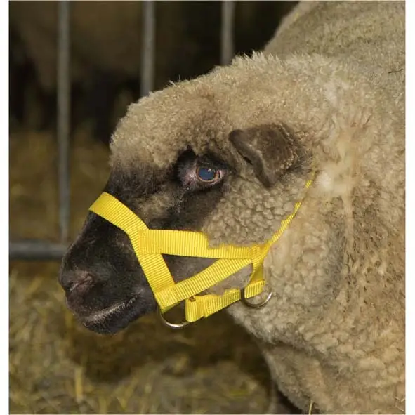 Finale Aktion Kopfhalfter für Schaf und Bock Polyamid gelb