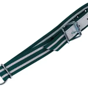 Halsriemen Nylon mit Leder 65 cm grün/weiss Expressversand