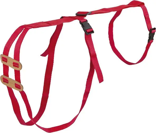 Neu Im Sortiment Vorfallbandage rot