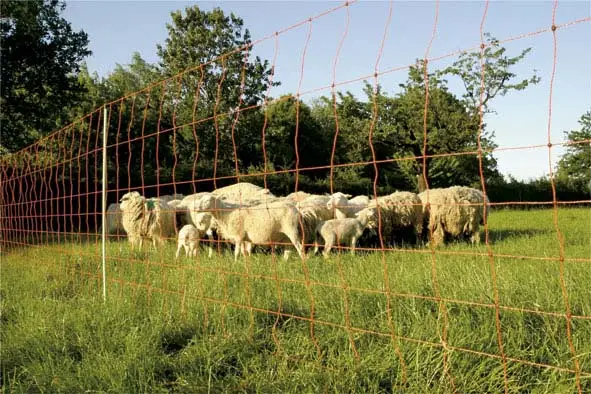Meistverkauft EURO-Netz-Extra Jumbo DS 90 cm 50 m