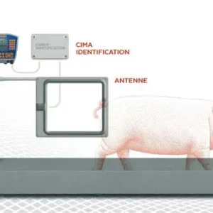 CIMA Identifikationssystem Billig