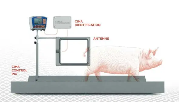 CIMA Identifikationssystem Billig