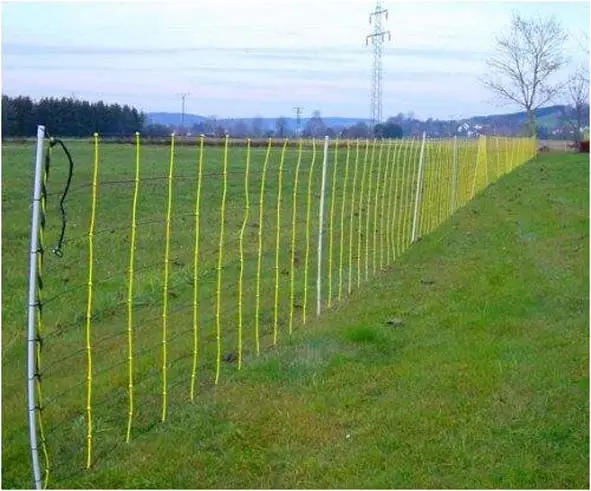 Livestok-Netz Doppelspitze 90 cm 50 m Aktuell