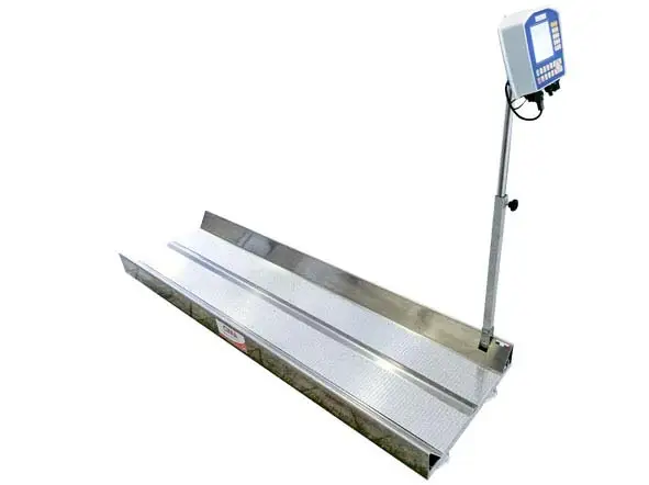 CIMA Control Cattle Waage lang Versand Am Gleichen Tag