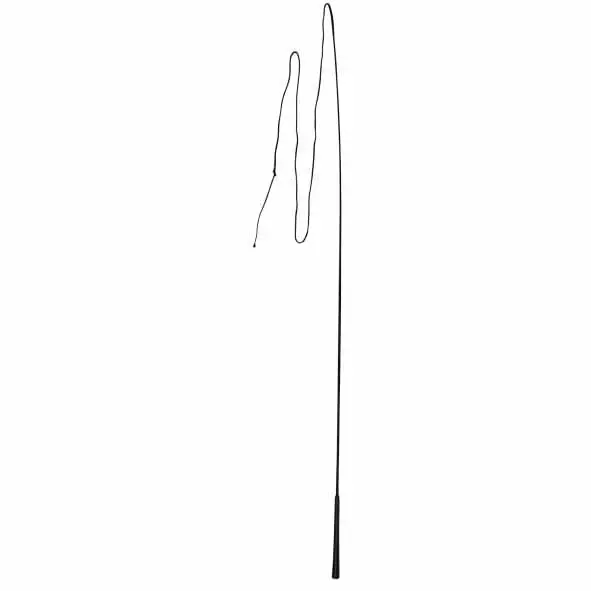 Solange Der Vorrat Reicht Longierpeitsche einteilig 180 cm