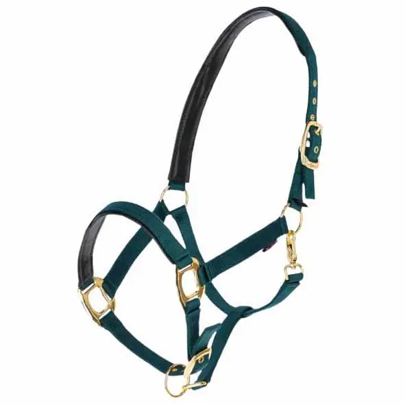 Begrenztes Angebot Halfter TopLine forest