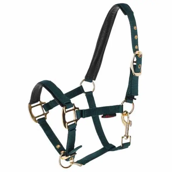 Fohlenhalfter TopLine forest Bestpreis